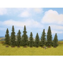 Noch Köknar Ağaçları 9 Parça H:8-12CM