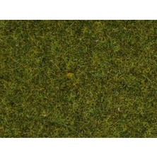 Noch 8212 Serpme Kısa Çim, Yaz Çayırı, 1.5 Mm, 20 Gram Diorama Malzemesi