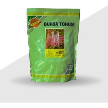 Bursa Tohum Bt Keklik Oturak Barbunya Tohumu