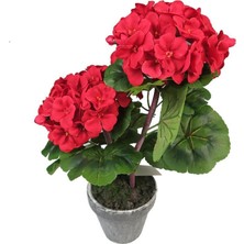 Biorganix Saksılı Kırmızı Sardunya Çiçeği 15-25 cm Potted Red Geranium Flower