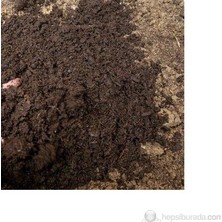 Plantistanbul Çim Kapak Toprak Harcı 40 Litre