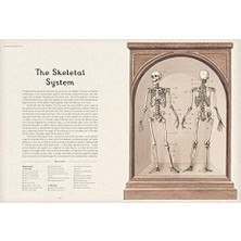 Anatomicum