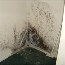 Flora Nem Alıcı Yedek 450 gr 6 Adet