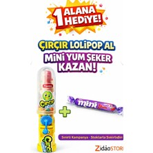 Emrah Gültekin Cırcır Lolipop Oyuncak Şeker 1 Adet Al 1 Adet Mini Yum Hediye Eğlenceli Çocuk Şekeri Seti