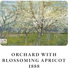 Blooming Series - A6, 4'lü Defter Seti Iı, Çizgisiz, Toplam 192 Sayfa, Her Biri 48 Sayfa, Tel Dikiş, Esnek Kapak, Oval Kenar, Tuval Doku, 60 Gram, Sarı Krem Renk