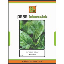 Paşa Ispanak Tohumu 25 Gr