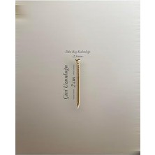 Filografi Altın Sarısı Renkli Düz Baş 250 Gram Filografi Çivisi