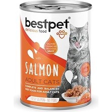 Uravas Store Bestpet Yetişkin Kediler Için, Taze Somon Parça Etli Soslu Yaş Mama, 400 G x 12 Adet