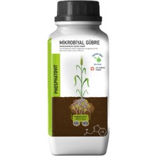 Phosphatovit 1 Lt - Çözünmeyen Fosfor ve Potasyum Çözücü Mikrobiyal Gübre