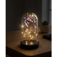 Yasima Özel Günler Için Hediyelik Dekoratif Yapay Sonsuzluk Mor Güllü Renkli LED Işıklı Siyah Fanus