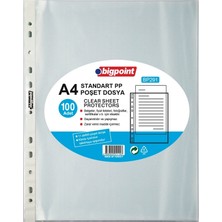 Bigpoint Poşet Dosya Standart 100 'Lü Paket Bp291