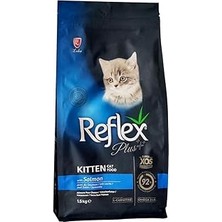 Uravas Store Kitten Somonlu Yavru 1,5kg
