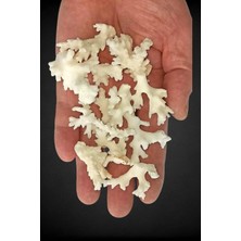 Pozitif Doğal Taş 50 Gram Beyaz Mercan Küçük Parçalar 9bm