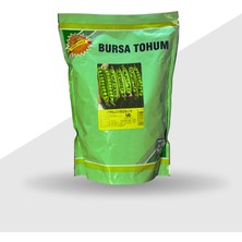 Bursa Tohum Bt Utrillo Bezelye Tohumu 1000 Gram