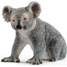 Senka Koala