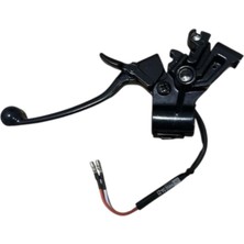 Tvs Jupiter 125 Sol Arka Fren Levyesi ve Kütüğü Komple (KL150090)