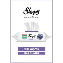 Şeylişeyler - Sleepy Dağ Esintisi Yüzey Temizlik Havlusu 100 Yaprak 3 Paket