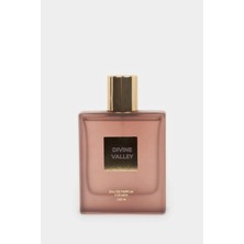 DeFacto Erkek Odunsu 100 ml Parfüm H4359AXNS