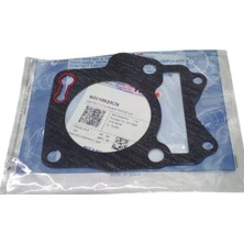 Tvs Raider 125 Silindir Kapak Contası (N5010820CN)