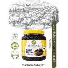 Çiftliği Siyah Zeytin Az Tuzlu - 291-350 Kalibre Doğal Salamura Kahvaltılık Zeytin 900 gr