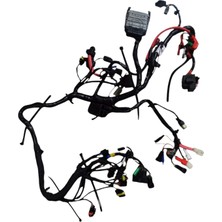 Tvs Apache Rtr 200 Elektrik Tesisatı (2024-2026) (NF160860)