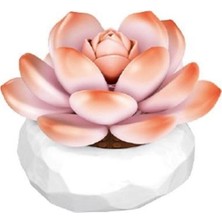 Butik Mey Ithalat® P655058 Monroe Sukulent Model 86 Parça Block Oyuncak