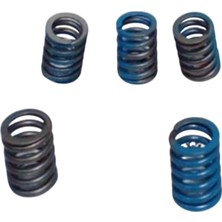 Tvs Raider 125 Debriyaj Baskı Yayı (N1070010)