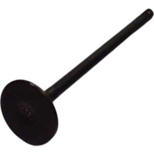 Tvs Raider 125 Emme Subapı (N8011700)