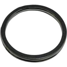 Tvs Apache Rtr 200 Egzoz Contası (N9053170)