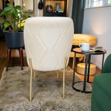 Msy Home 4 Adet Naz Serisi Gold Yönsüz Kumaş Lüks ve Modern Sandalye Seti