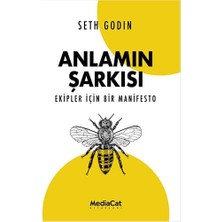 TeknoKapsül Anlamın Şarkısı