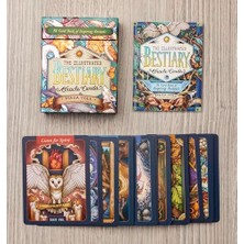 TeknoKapsül The Illustrated Bestiary Oracle Cards: 36-Card Deck Of Inspiring Animals