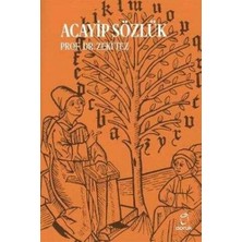 TeknoKapsül Acayip Sözlük