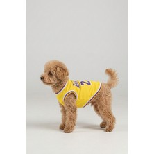 Salya Store Lakers Yazlık Köpek Forma Kedi,köpek Kıyafeti Küçük Irklar