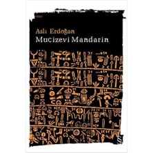 TeknoKapsül Mucizevi Mandarin