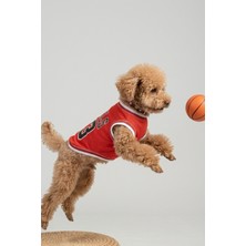 Salya Store Chicago Yazlık Köpek Forma Kedi, Köpek Kıyafeti Küçük Irklar 0-15kg