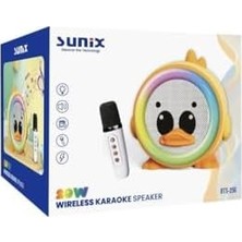 TeknoKapsül 20W 2400 Mah Karaoke Mikrofonlu Ledli Bluetooth Hoparlör BTS-250