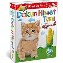 TeknoKapsül Dokun Hisset Tanı Eğitim Kartları, Zeka Kartları