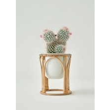 Bella Maison Glim Saksı Krem (22X22X25 Cm)