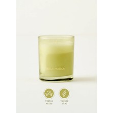 Bella Maison Golden Tropics Soya Wax Kokulu Mum Yeşil (120 gr)