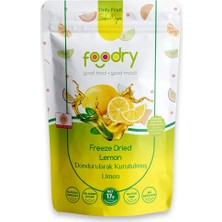 Foodry Dondurularak Kurutulmuş Limon – Freeze Dry Limon 17g | Katkısız Çıtır Meyve Atıştırmalığı