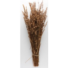 Yapay Çiçek Burada Kuru Çiçek Gerçek Şoklanmış Lavanta