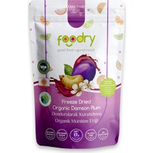 Foodry Dondurularak Kurutulmuş Mürdüm Eriği – Freeze Dry Mürdüm Eriği 17g | Katkısız Çıtır Meyve Atıştırmalığı