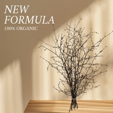 Doğal Gürgen Dekor Dalı (Natural Renk) – 60/80 cm Rustik El Bağlaması Demet