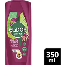 TeknoKapsül Doğanın Enerjisi Kalın ve Gür Avokado ve Üzüm Çekirdeği Yağı Bakım Kremi 1 Paket (1 x 350 Ml)
