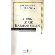 TeknoKapsül Rudin Ilk Aşk Ilkbahar Selleri Ciltsiz