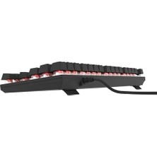 TeknoKapsül HK410 Mekanik Switch 19 Mod Rgb Kablolu Siyah Tkl Türkçe Gaming Klavye (Kırmızı Switch)