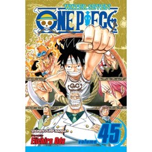 TeknoKapsül One Piece, Vol. 45: Volume 45