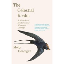 TeknoKapsül The Celestial Realm