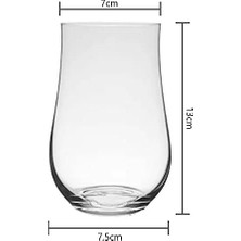 TeknoKapsül Oks Tulipa Meşrubat Bardağı 450 ml